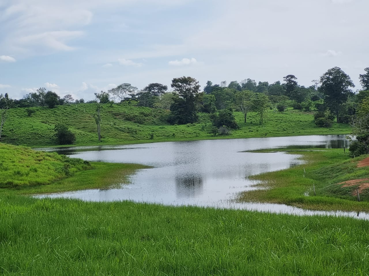 Pasturas y cuerpo de agua en un predio rural