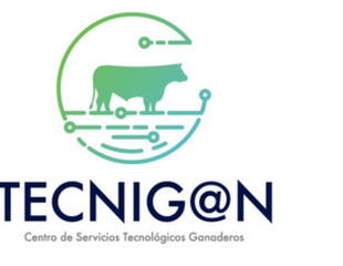 TECNIG@N